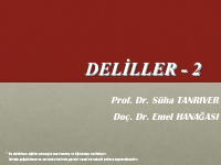 Hukukda Deliller.pdf